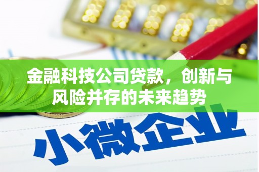 拉孜金融科技公司贷款，创新与风险并存的未来趋势