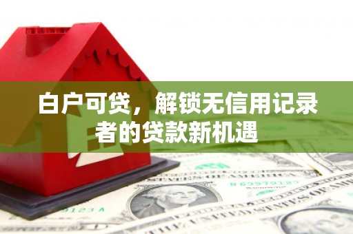 东乌旗白户可贷，解锁无信用记录者的贷款新机遇