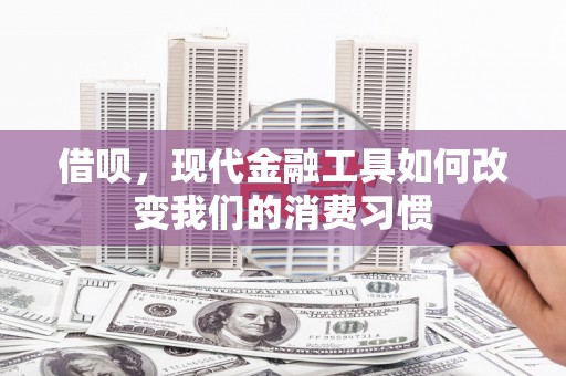 阳曲借呗，现代金融工具如何改变我们的消费习惯