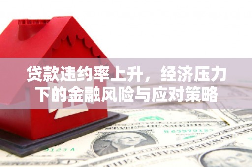 新都贷款违约率上升，经济压力下的金融风险与应对策略