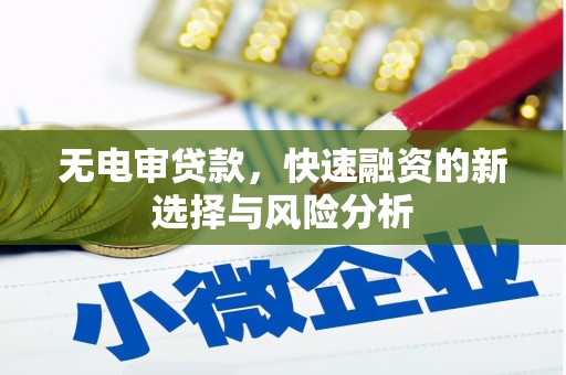 荔浦无电审贷款，快速融资的新选择与风险分析