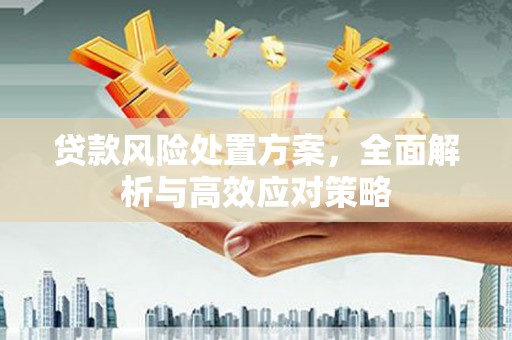 芙蓉贷款风险处置方案，全面解析与高效应对策略