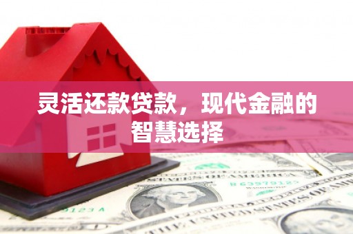 长丰灵活还款贷款，现代金融的智慧选择