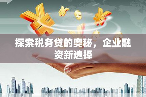 江都探索税务贷的奥秘，企业融资新选择