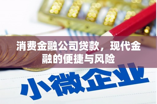 鸡东消费金融公司贷款，现代金融的便捷与风险