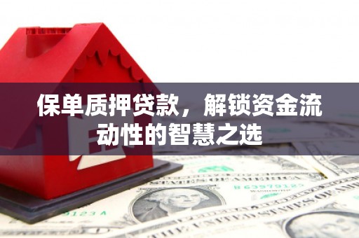 定远保单质押贷款，解锁资金流动性的智慧之选