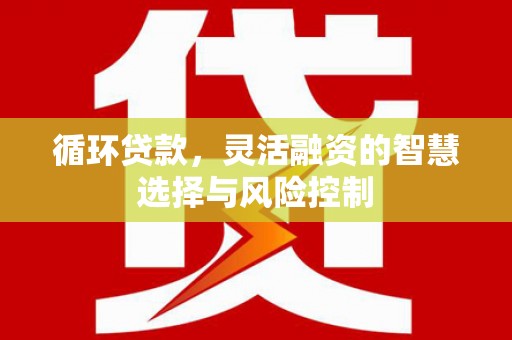 索县循环贷款，灵活融资的智慧选择与风险控制