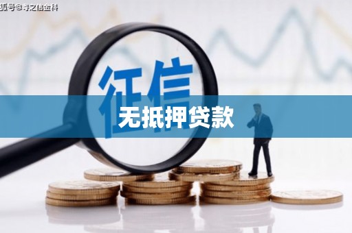 泰山无抵押贷款
