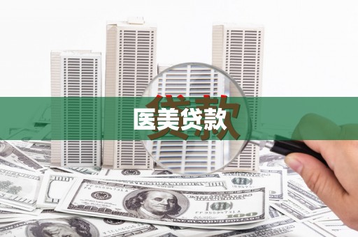 河源医美贷款