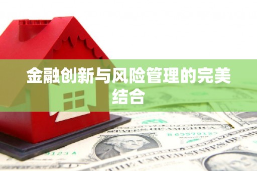 仑背金融创新与风险管理的完美结合