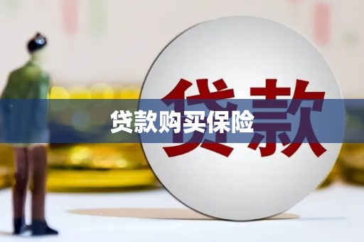 宏伟贷款购买保险
