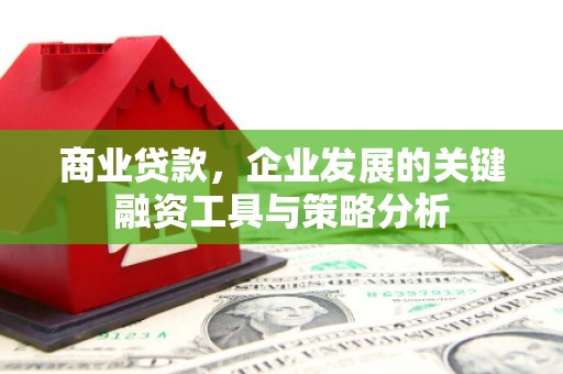 温宿商业贷款，企业发展的关键融资工具与策略分析