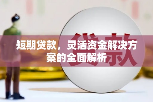 阜阳短期贷款，灵活资金解决方案的全面解析