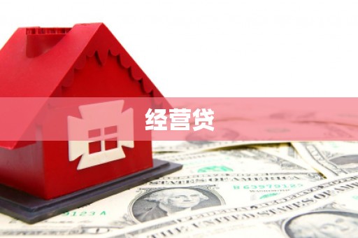 港口经营贷