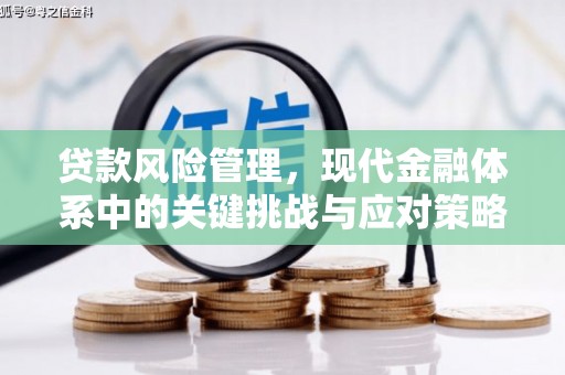 南岔贷款风险管理，现代金融体系中的关键挑战与应对策略