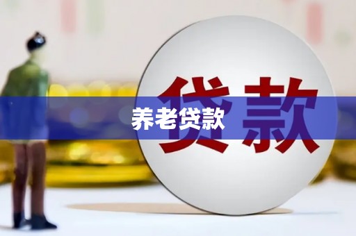 大堂养老贷款
