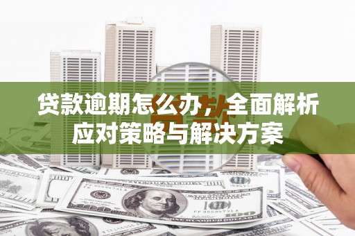 商州贷款逾期怎么办，全面解析应对策略与解决方案