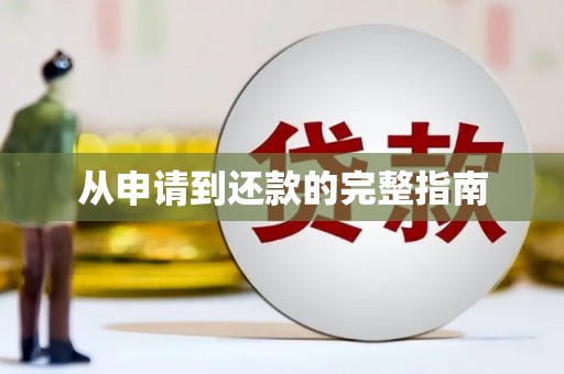 东阿从申请到还款的完整指南