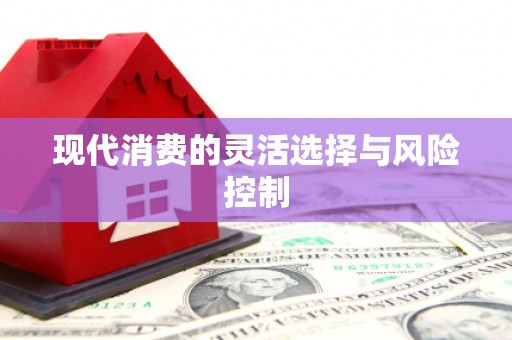 永清现代消费的灵活选择与风险控制