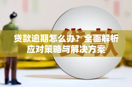 仙游贷款逾期怎么办？全面解析应对策略与解决方案
