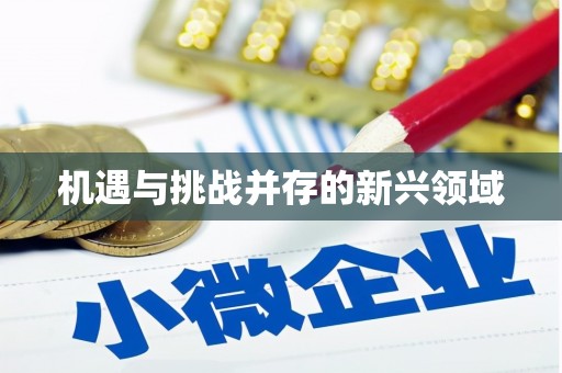 太白机遇与挑战并存的新兴领域