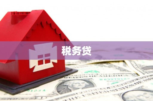 兴县税务贷