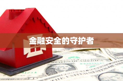 称多金融安全的守护者