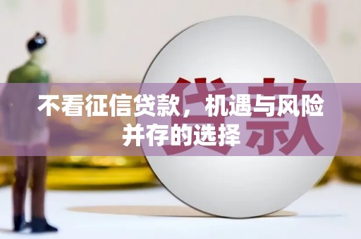 金湾不看征信贷款，机遇与风险并存的选择