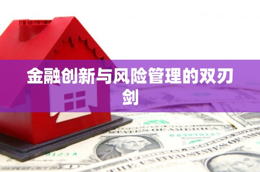 缙云金融创新与风险管理的双刃剑
