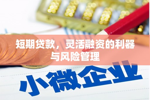 永寿短期贷款，灵活融资的利器与风险管理