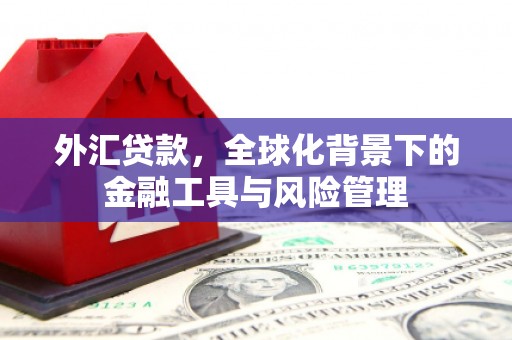 王益外汇贷款，全球化背景下的金融工具与风险管理