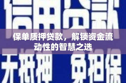 海安保单质押贷款，解锁资金流动性的智慧之选