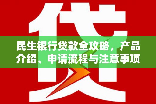 白沙民生银行贷款全攻略，产品介绍、申请流程与注意事项